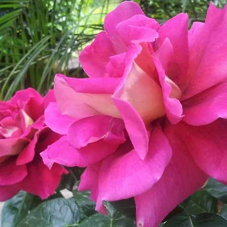 La Neffola ゲストハウス 3*