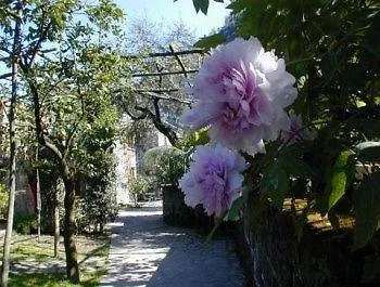 La Neffola ソレント