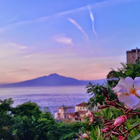 Guest house La Neffola 3*