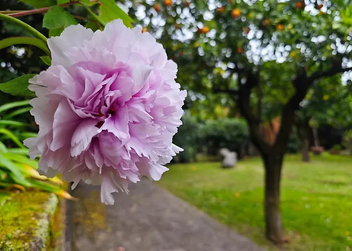 La Neffola 3* Península Sorrentina