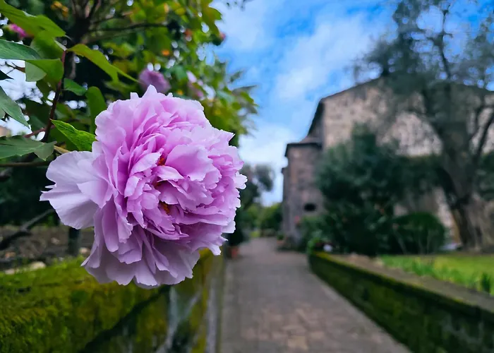 La Neffola Península Sorrentina