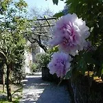 La Neffola Sorrent