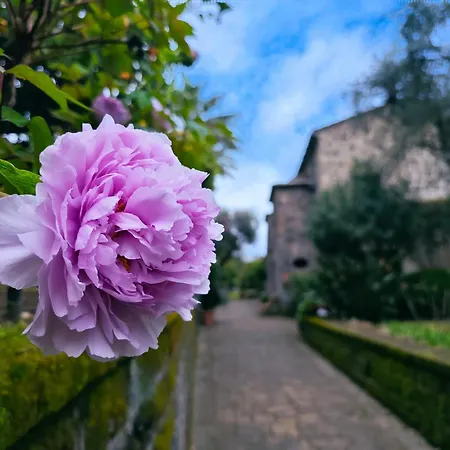La Neffola Sorrento